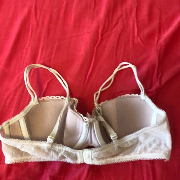 B'Tempted Bra - Picture 4 of 5